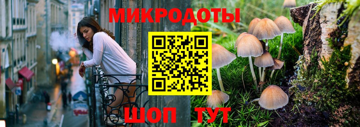 Галлюциногенные грибы Cubensis Мценск
